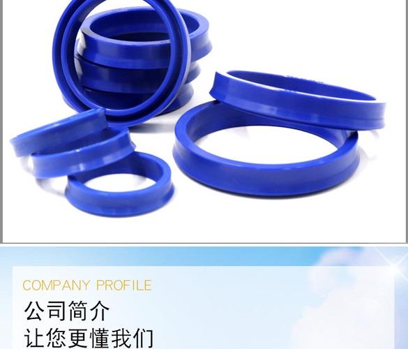 華奇工廠耐磨密封圈o型藍(lán)色氟膠橡膠idu高壓odu非標(biāo)規(guī)格骨架油封