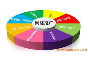 北京大興免費網絡推廣軟件 哪家好？生產廠家、價格與技術解析